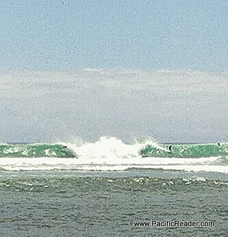 Holy F***ing South Swell!