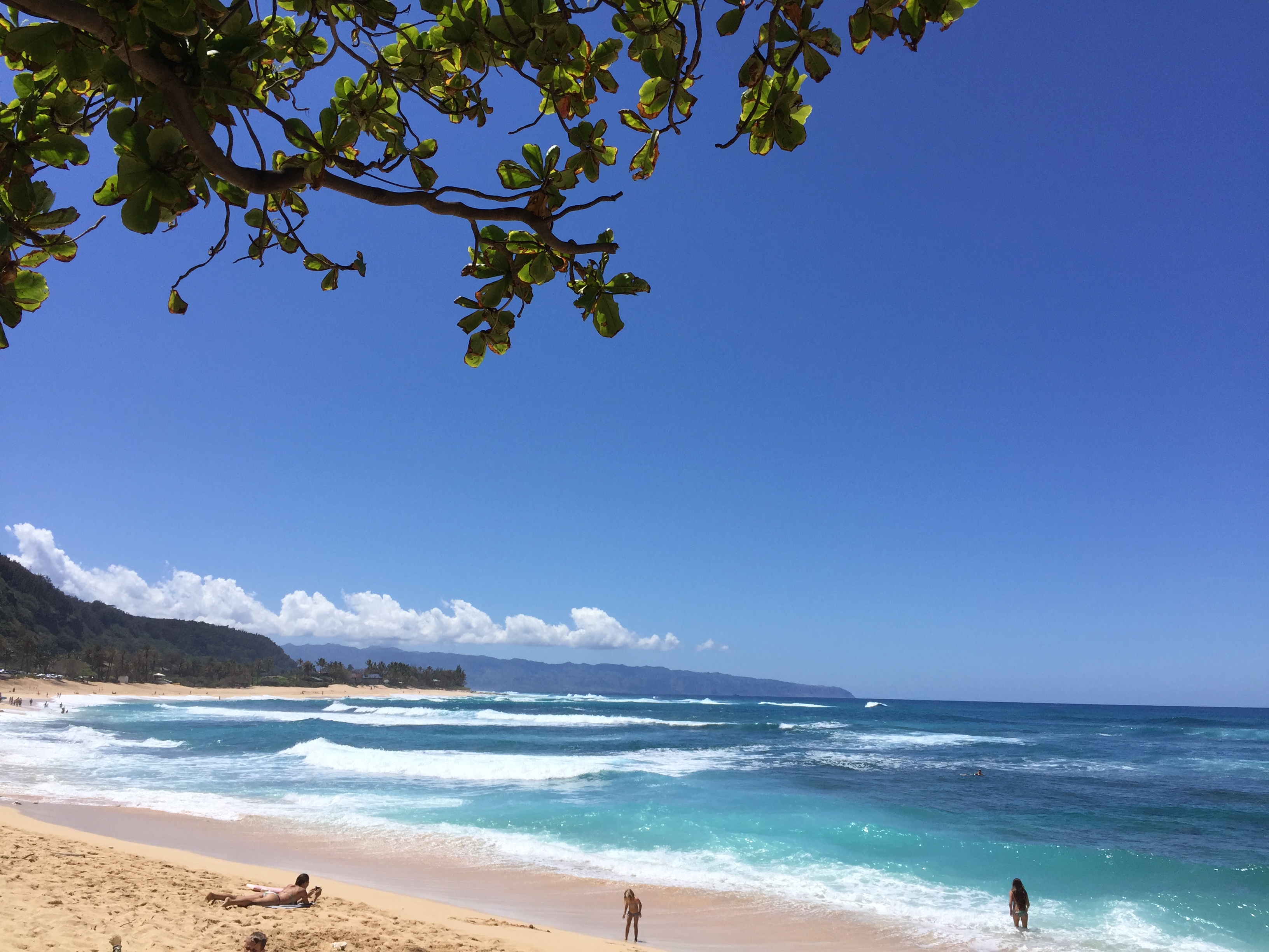 New Foodie Finds on the North Shore of Oahu